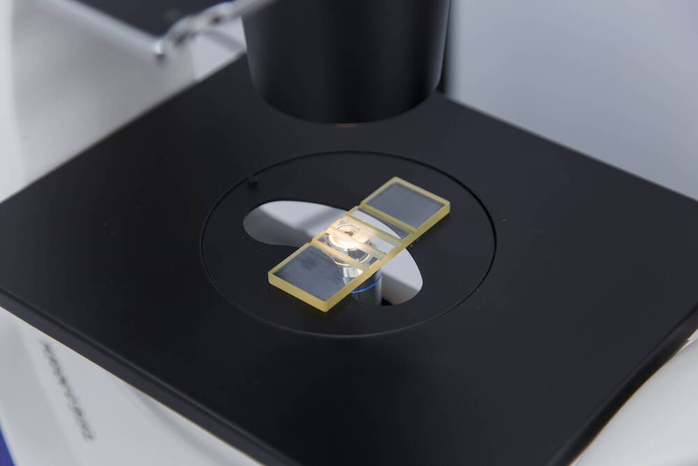 Галерея фото