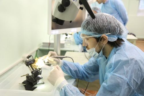 "Практический курс «Микрохирургия уха и слуховая имплантация»  30 июня - 1 июля"